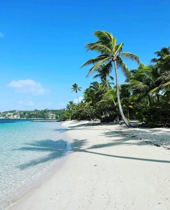 Les Pieds Dans L'Eau Chez Syl Apartment Le Moule Luaran gambar