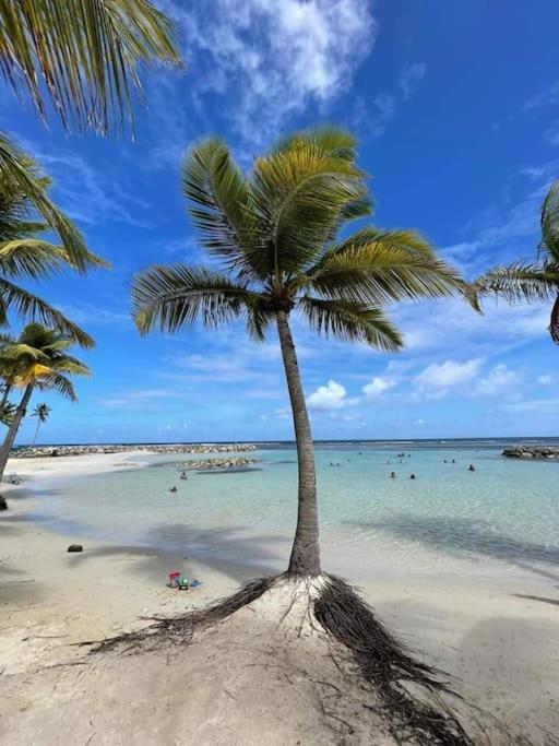 Les Pieds Dans L'Eau Chez Syl Apartment Le Moule Luaran gambar